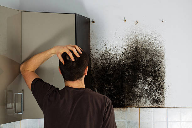 Best Mold Testing  in Abilene, TX